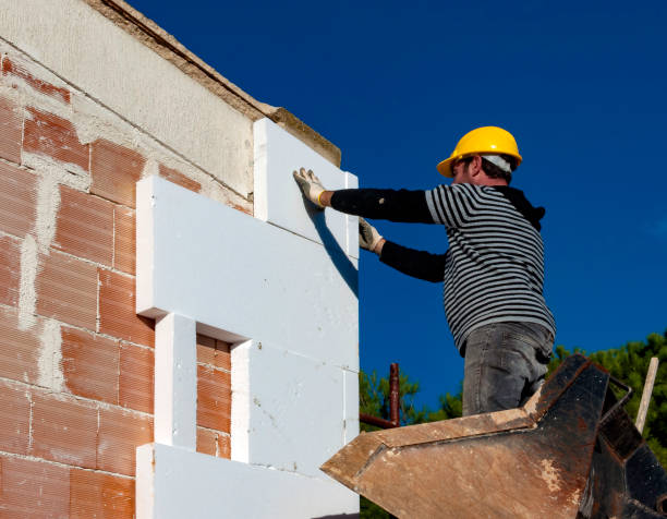 Best Insulation Repair Services  in Prairie View, TX