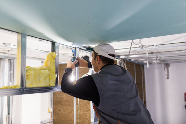Best Soundproof Insulation Installation  in Prairie View, TX