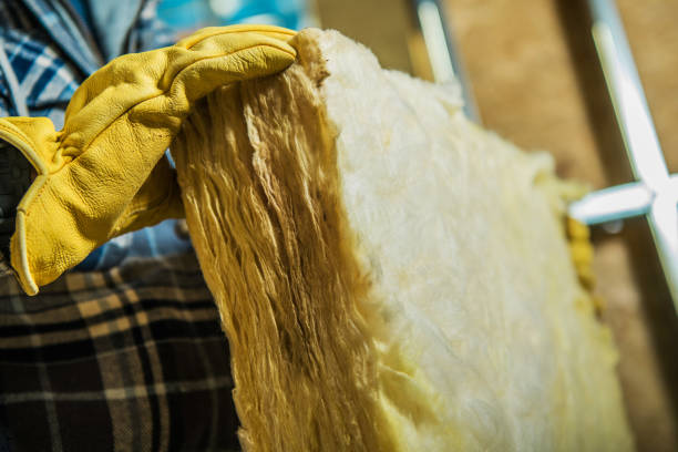 Best Spray Foam Insulation  in Prairie View, TX