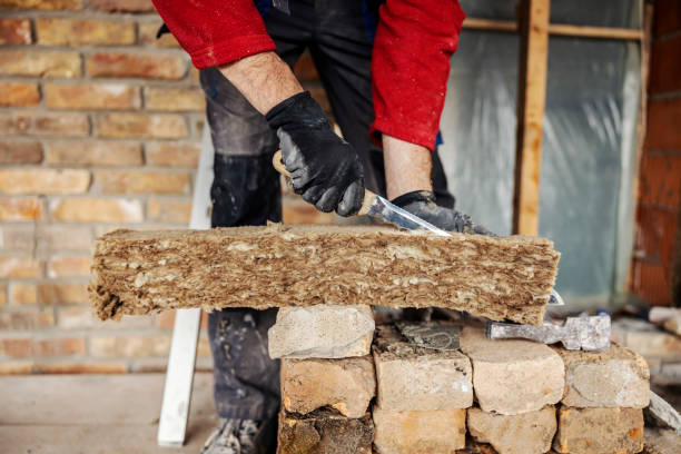 Best Professional Insulation Contractor  in Prairie View, TX
