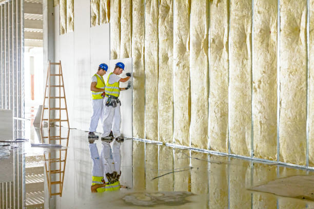 Best Insulation Removal  in Prairie View, TX